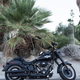 Illustration for article titled Here's Why I Ride A Harley, And Why You Should Too